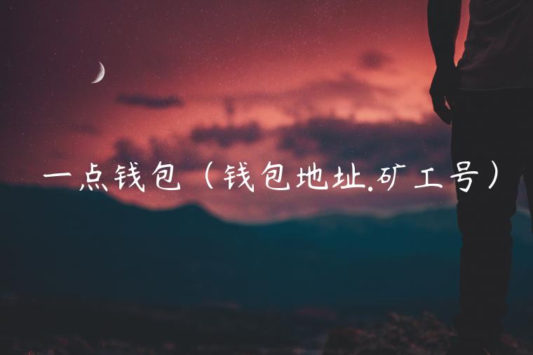 一点钱包（钱包地址.矿工号）-第1张图片-币安app官方下载最新版