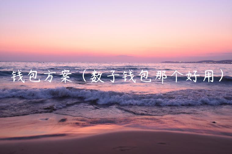钱包方案（数子钱包那个好用）-第1张图片-币安app官方下载最新版