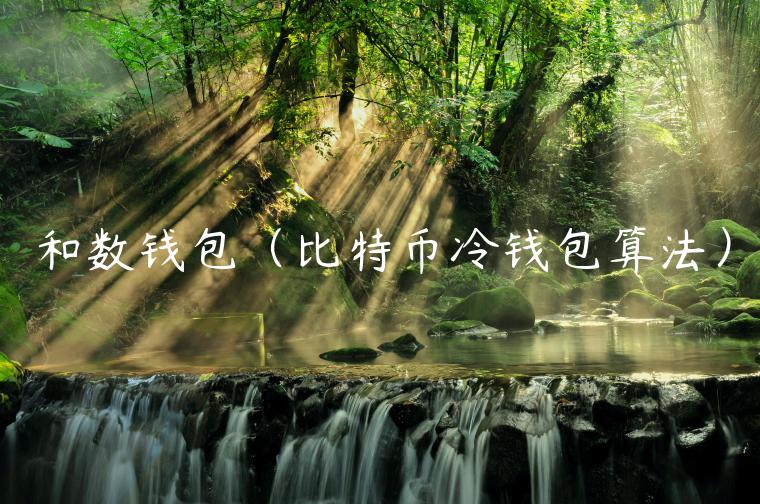 和数钱包（比特币冷钱包算法）-第1张图片-币安app官方下载最新版