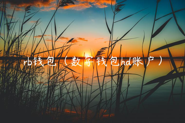 rb钱包（数字钱包hd账户）-第1张图片-币安app官方下载最新版