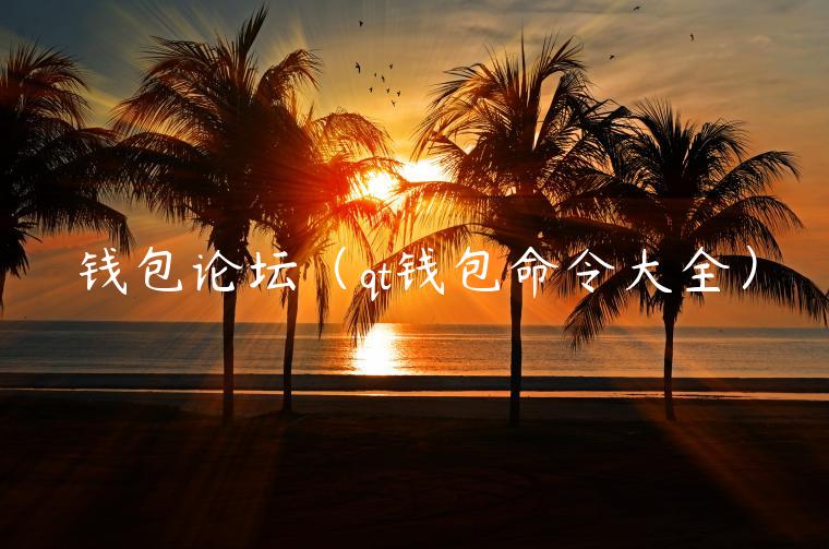 钱包论坛（qt钱包命令大全）-第1张图片-币安app官方下载最新版