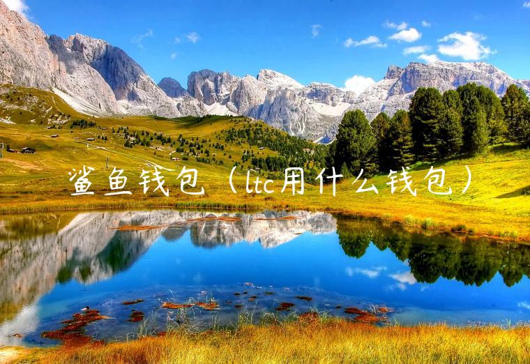 鲨鱼钱包（ltc用什么钱包）-第1张图片-币安app官方下载最新版
