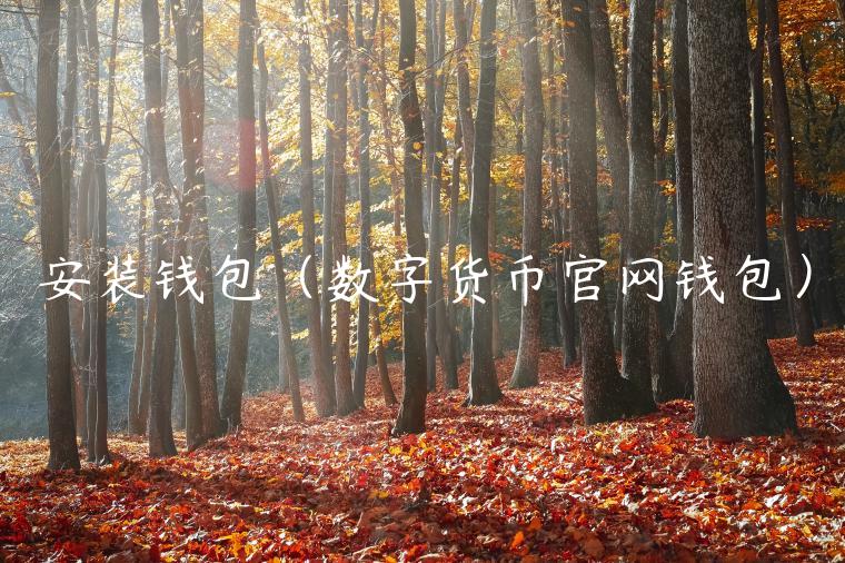安装钱包（数字货币官网钱包）-第1张图片-币安app官方下载最新版