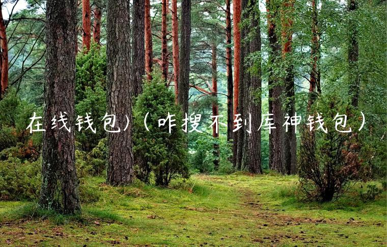 在线钱包（咋搜不到库神钱包）-第1张图片-币安app官方下载最新版