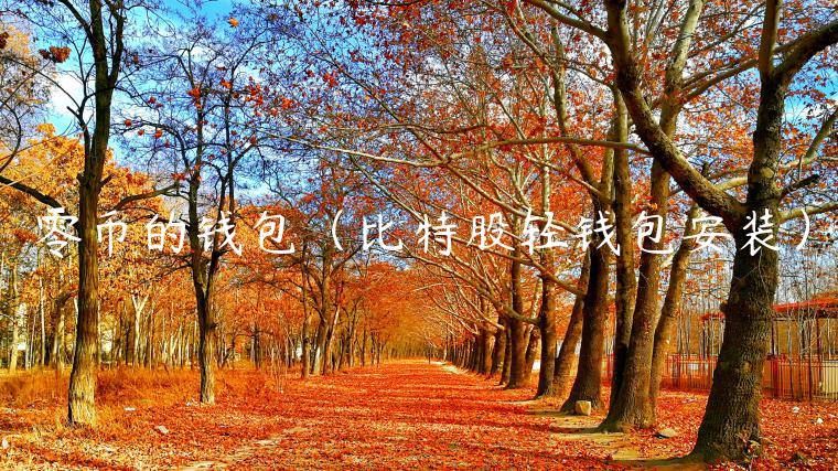 零币的钱包（比特股轻钱包安装）-第1张图片-币安app官方下载最新版