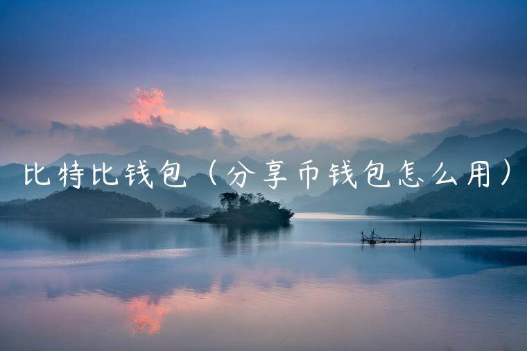 比特比钱包（分享币钱包怎么用）-第1张图片-币安app官方下载最新版