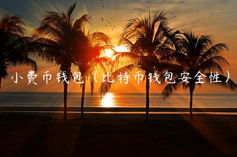 小费币钱包（比特币钱包安全性）-第1张图片-币安app官方下载最新版
