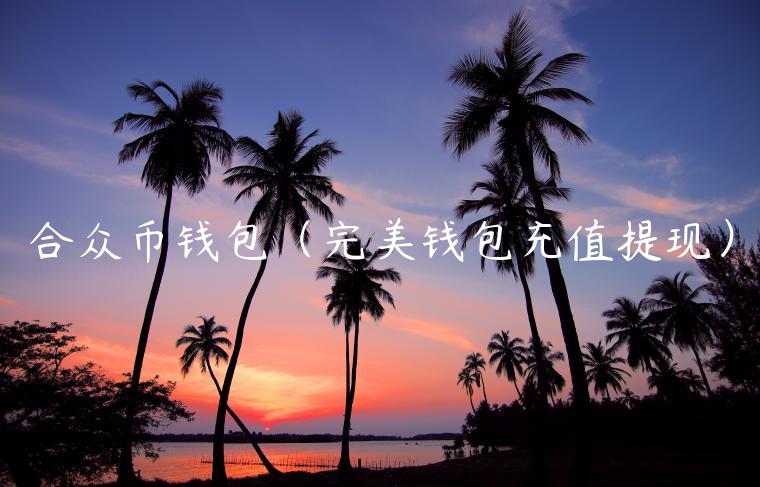 合众币钱包（完美钱包充值提现）-第1张图片-币安app官方下载最新版
