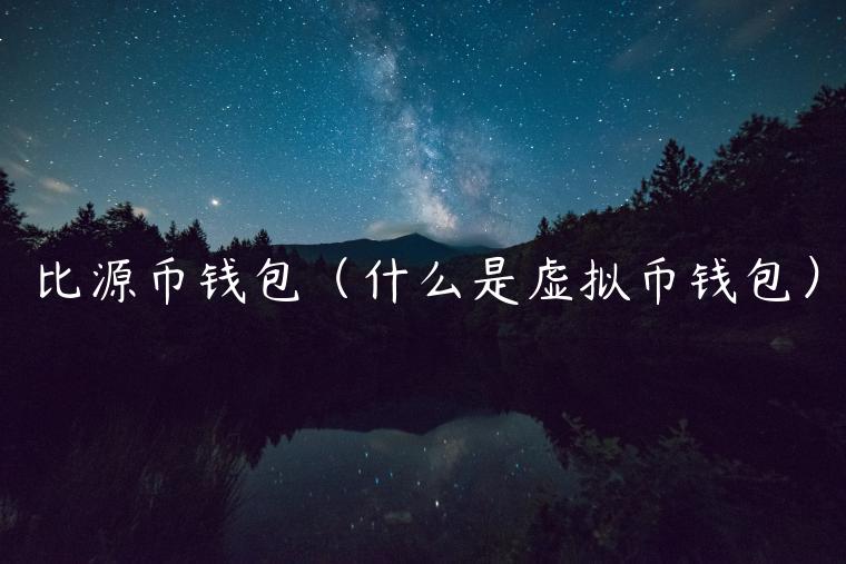 比源币钱包（什么是虚拟币钱包）-第1张图片-币安app官方下载最新版