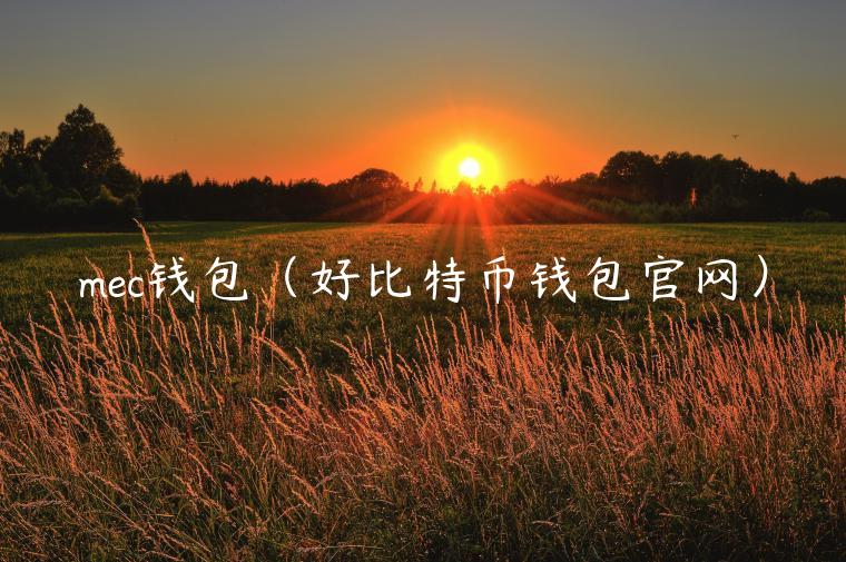 mc钱包（好比特币钱包官网）-第1张图片-币安app官方下载最新版