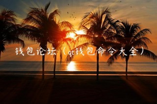 钱包论坛（qt钱包命令大全）_ok交易所