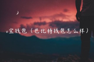 v宝钱包（巴比特钱包怎么样）_ok交易所