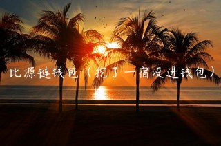 比源链钱包（挖了一宿没进钱包）_ok交易所