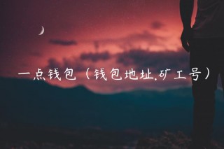 一点钱包（钱包地址.矿工号）_ok交易所