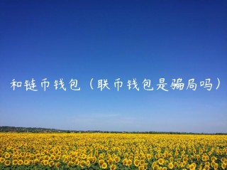 和链币钱包（联币钱包是骗局吗）_ok交易所