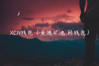 CN钱包（鱼池矿池 转钱包）_ok交易所