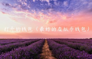 打开的钱包（最好的虚拟币钱包）_ok交易所