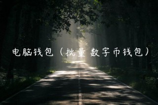 电脑钱包（批量 数字币钱包）_ok交易所