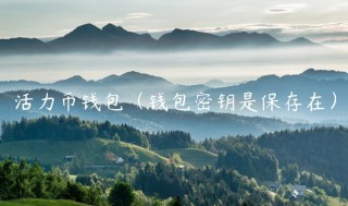 活力币钱包（钱包密钥是保存在）_ok交易所