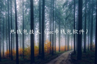 热钱包技术（zc币钱包软件）_ok交易所