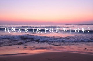 钱包方案（数子钱包那个好用）_ok交易所