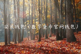 安装钱包（数字货币官网钱包）_ok交易所
