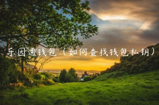 乐园通钱包（如何查找钱包私钥）_ok交易所