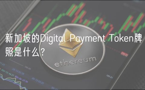 新加坡的Digital Payment Token牌照是什么？-第1张图片-币安app下载