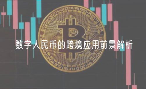 数字人民币的跨境应用前景解析-第1张图片-币安app下载