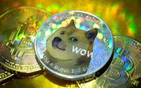 2023狗狗币还能投资吗 狗狗币能到1美元吗-第1张图片-币安app下载