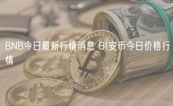 BNB今日最新行情消息 BI安币今日价格行情-第1张图片-币安app下载