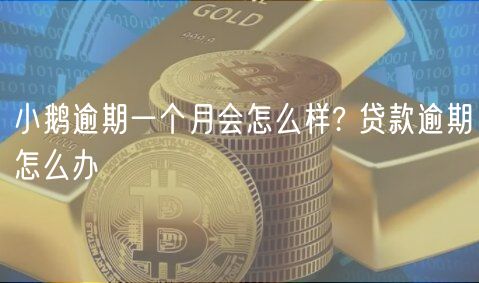 小鹅逾期一个月会怎么样? 贷款逾期怎么办-第1张图片-币安app下载
