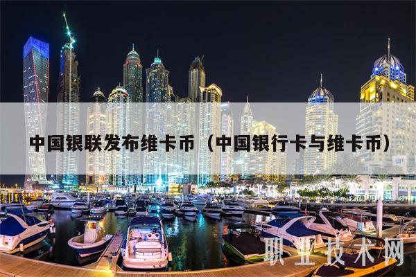 中国银联发布维卡币（中国银行卡与维卡币-第1张图片-币安app下载