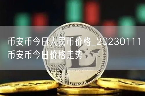 币安币今日人民币价格_20230111币安币今日价格走势-第1张图片-币安app下载