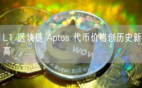 L1 区块链 Aptos 代币价格创历史新高-第1张图片-币安app下载