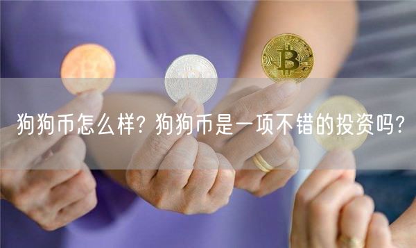 狗狗币怎么样? 狗狗币是一项不错的投资吗?-第1张图片-币安app下载