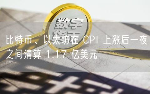 比特币、以太坊在 CPI 上涨后一夜之间清算 1.17 亿美元-第1张图片-币安app下载