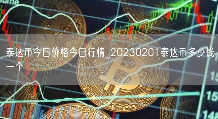 泰达币今日价格今日行情_20230201泰达币多少钱一个-第1张图片-币安app下载