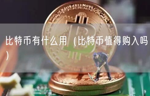 比特币有什么用（比特币值得购入吗）-第1张图片-币安app下载