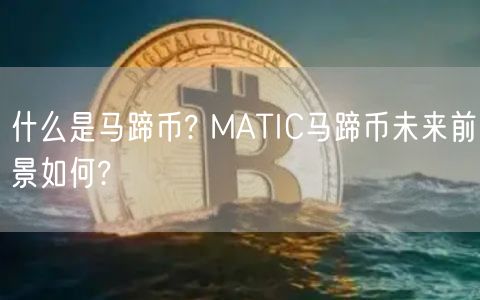什么是马蹄币? MATIC马蹄币未来前景如何?-第1张图片-币安app下载
