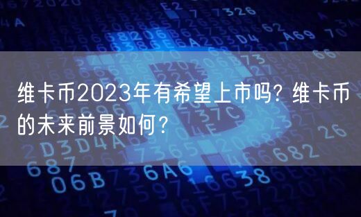 维卡币2023年有希望上市吗? 维卡币的未来前景如何？-第1张图片-币安app下载