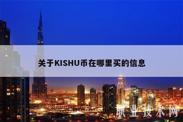 关于KISHU币在哪里买的信息-第1张图片-币安app下载