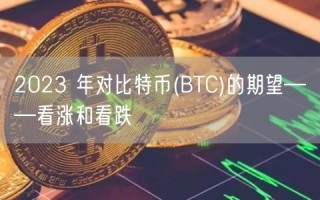 2023 年对比特币 - BTC的期望——看涨和看跌