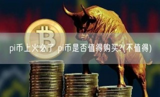 pi币上火必了 pi币是否值得购买? - 不值得