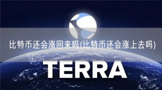 比特币还会涨回来吗 - 比特币还会涨上去吗
