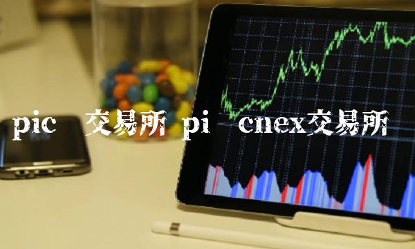 pic币交易所 pi币cnex交易所-第1张图片-币安app下载