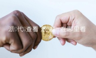 派币代码查看 派币基础币在哪里看