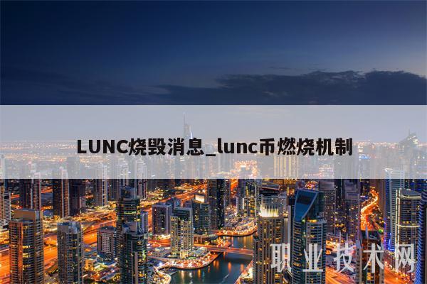 LUNC烧毁消息_lunc币燃烧机制-第1张图片-币安app下载