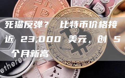 死猫反弹？ 比特币价格接近 23,000 美元，创 5 个月新高-第1张图片-币安app下载