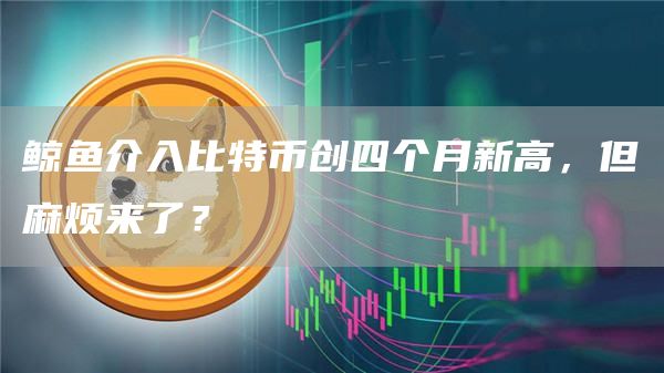 鲸鱼介入比特币创四个月新高，但麻烦来了？-第1张图片-币安app下载
